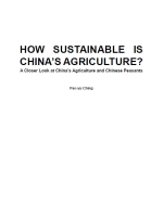 How Sustainable is China