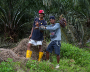 Kimanis_Sabah_Workers-in-Palm-Oil-Plantation-01_CE-Photo-Uwe-Aranas-web